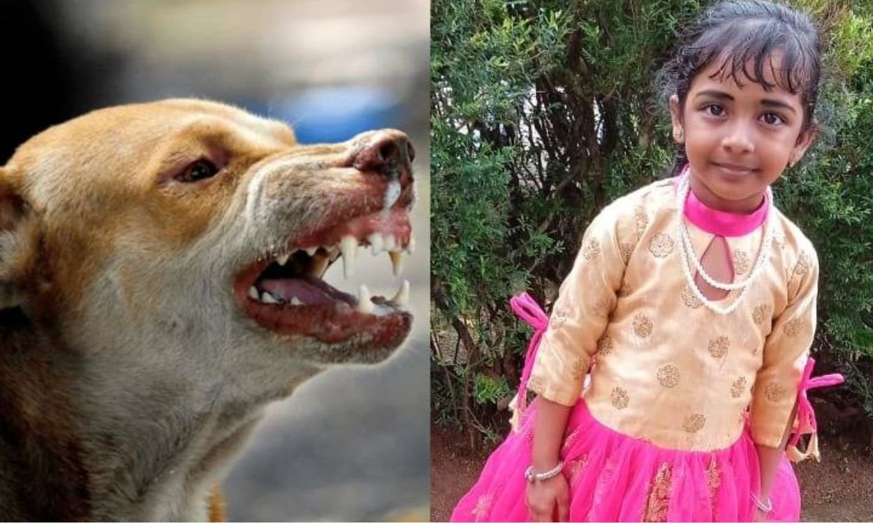 പ്രതിരോധ വാക്സിൻ എടുത്തിട്ടും പേവിഷബാധ ഉണ്ടായ കുട്ടി മരിച്ചു